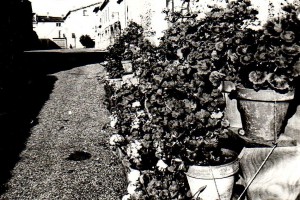 tn SEMMACARI n  3 p 10 photo 3