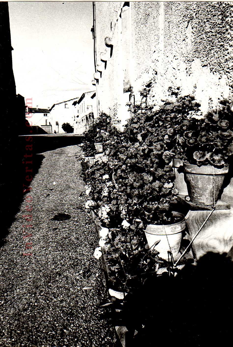 tn SEMMACARI n  3 p 10 photo 3