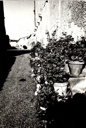 tn SEMMACARI n  3 p 10 photo 3