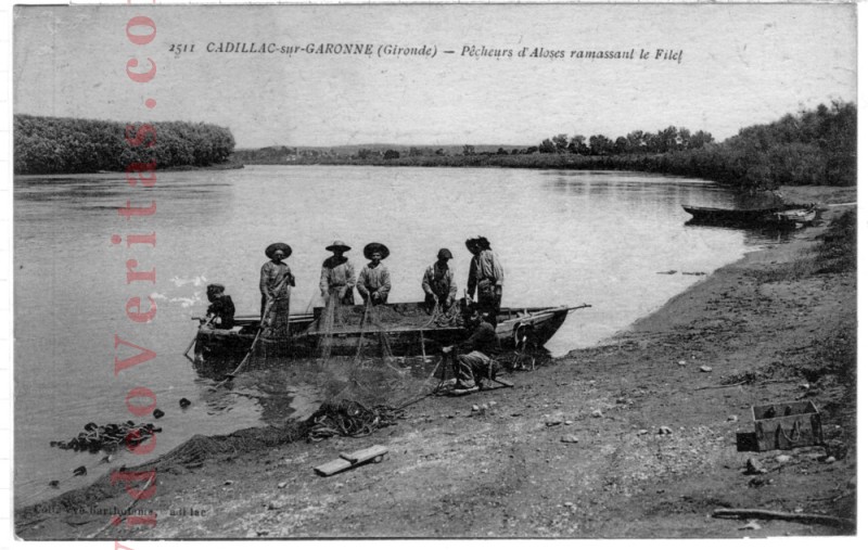 cadillac pecheurs ramassant le filet
