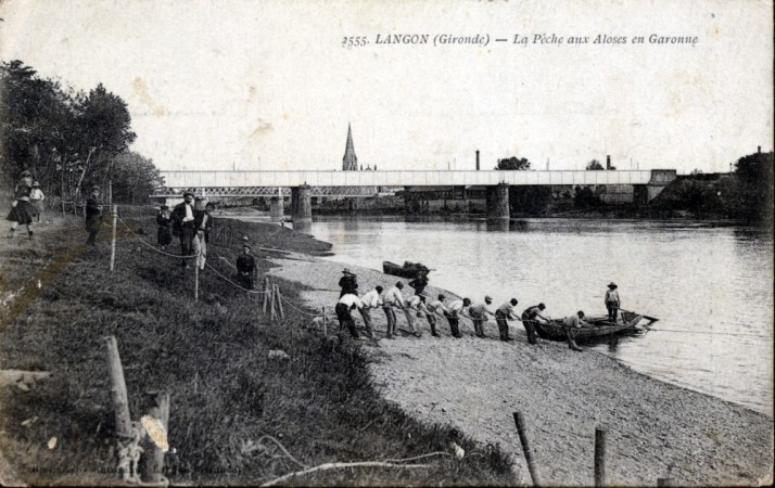 170 langon p  cheurs d aloses