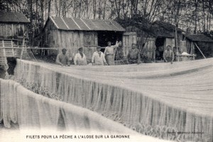 Podensac Filets pour la peche    l alose sur la Garonne