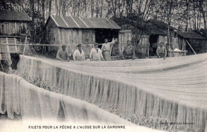 Podensac Filets pour la peche    l alose sur la Garonne