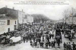 Podensac recolte de sauternes 1903