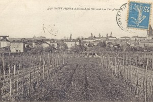 St Pierre vue generale