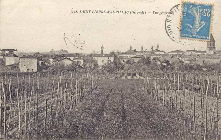 St Pierre vue generale