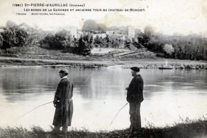 10  7881  st pierre d aurillac  gironde  les bords de la garonne et ancienne tour du chateau de mondiet