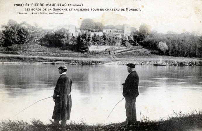 10  7881  st pierre d aurillac  gironde  les bords de la garonne et ancienne tour du chateau de mondiet