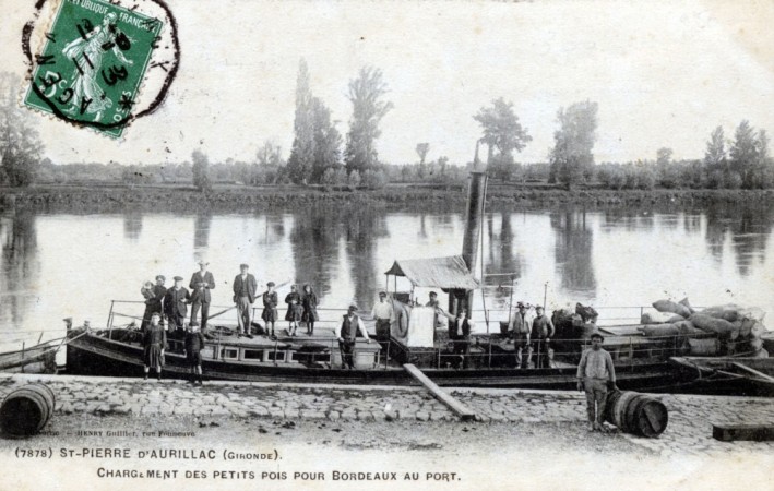 4 14  st pierre d aurillac bords de la garonne chargement de petits pois
