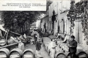 8 saint pierre d aurillac  gironde  chais et bureaux de la maison alban nibaut les arrocqs