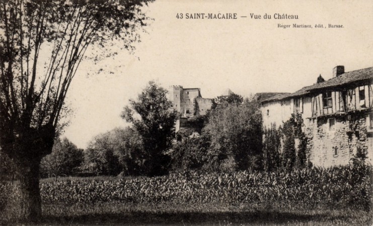 Saint Macaire Vue du Chateau 01