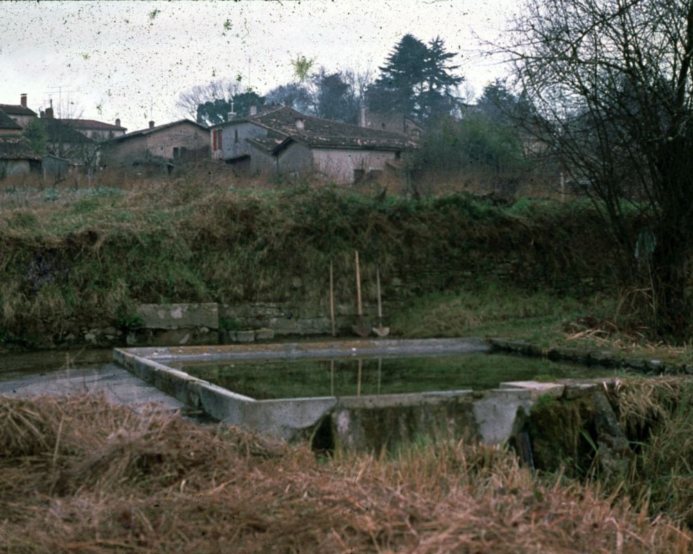 ARCHEOLOGIE