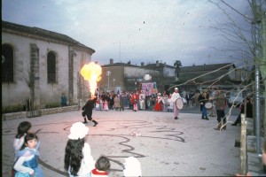 carnaval   copie
