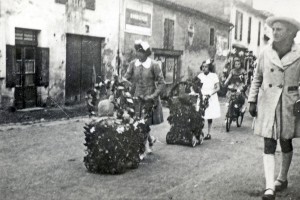 carnaval st pierre