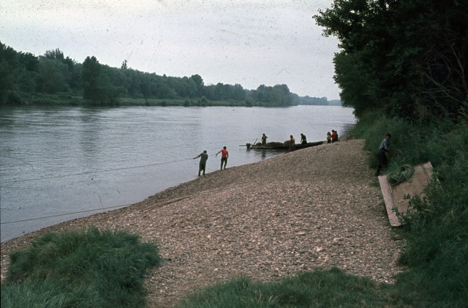 peche alose langon 1975