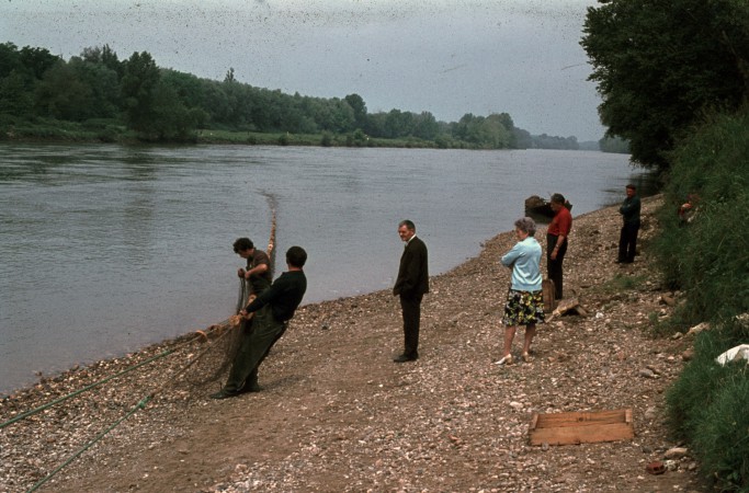peche alose langon 1975