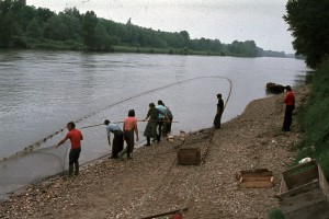 peche alose langon 1975