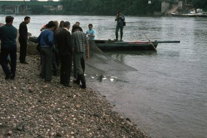 peche alose langon 1975