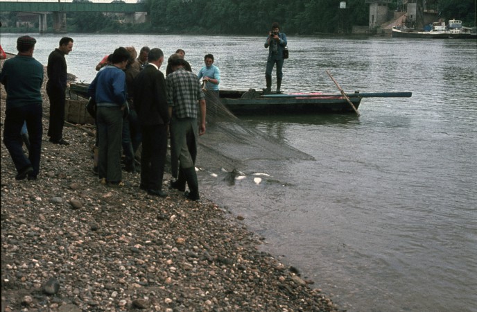 peche alose langon 1975