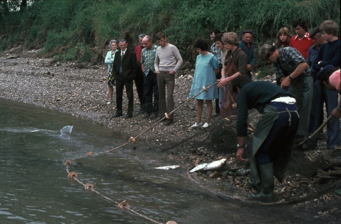 peche alose langon 1975