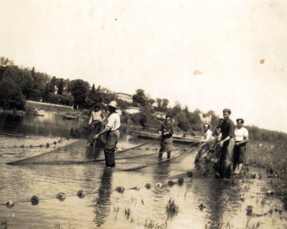 PÊCHE A L'ALOSE A SAINT PIERRE D'AURILLAC AUX ARROCS