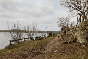 chemin du port 